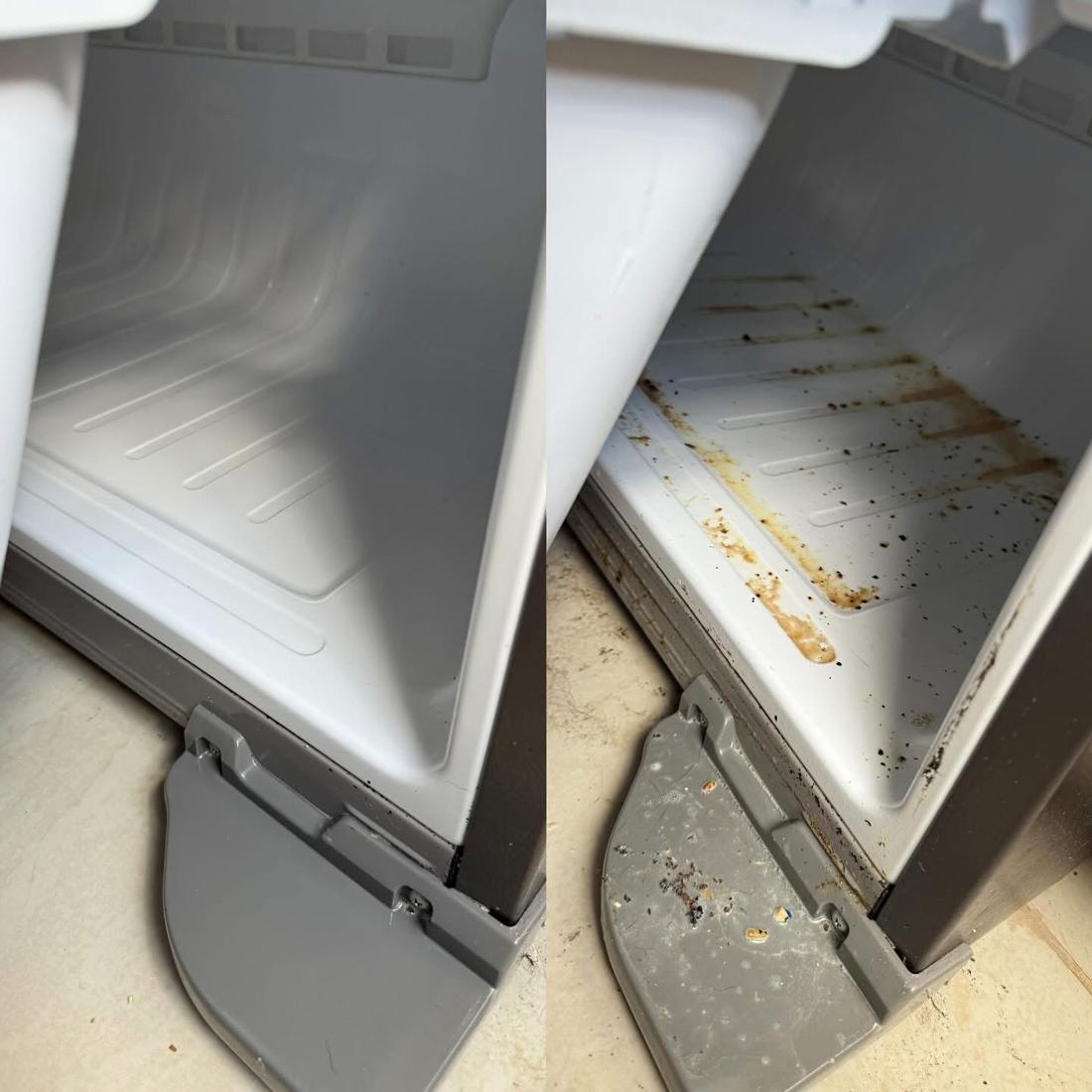 IJ CARE Cleaning Appliance Detail before and after